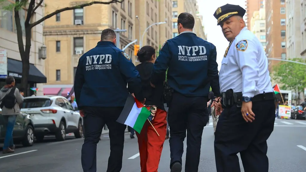 Dozens of Pro-Palestine Protesters Arrested Near Met Gala in Manhattan